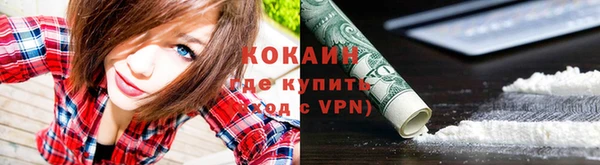 не бодяженный Гусев