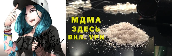 шишки Покачи