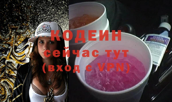 шишки Покачи