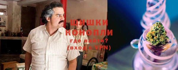 не бодяженный Гусев