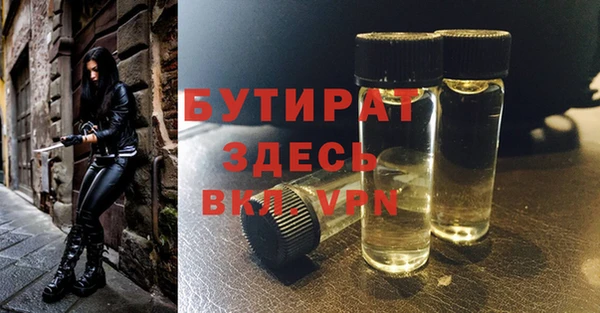 шишки Покачи