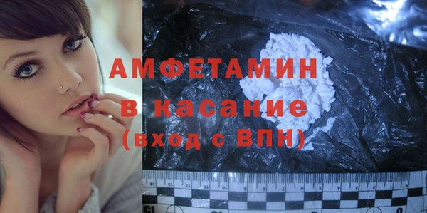 шишки Покачи