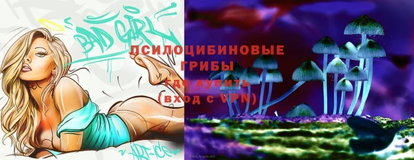 эйфоретик Дмитриев